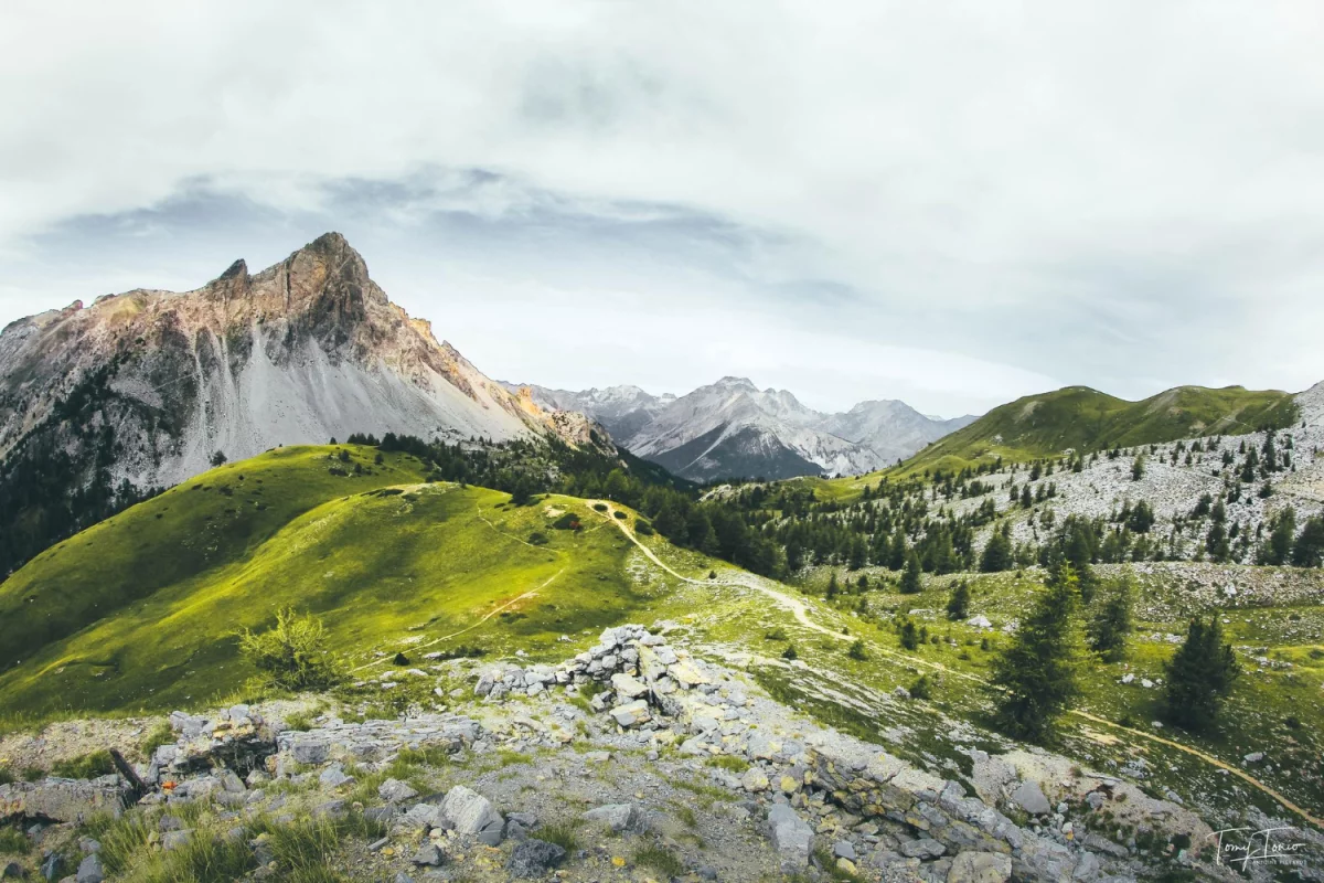 Nie Musisz Być Ekspertem Aby obliczyć ślad węglowy w firmie. Wystarczy, że Zastosujesz Te 10 Zasad.