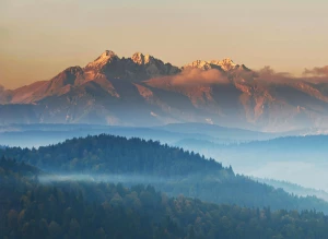 2021 dobrym czasem aby  sprowadzić auto z Niemiec