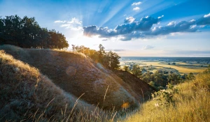 Czy żeby opublikować artykuły sponsorowane potrzebne są studia?