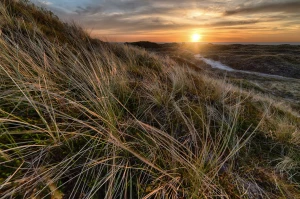 Jak  zadbać o rośliny domowe - zmiany w 2025