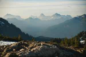 budować dom profesjonalnie?